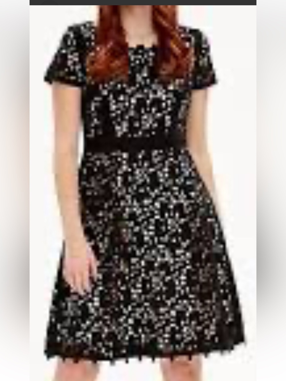 Focus by Shani size 10 Black Short Sleeve Fit & Flare Dress
